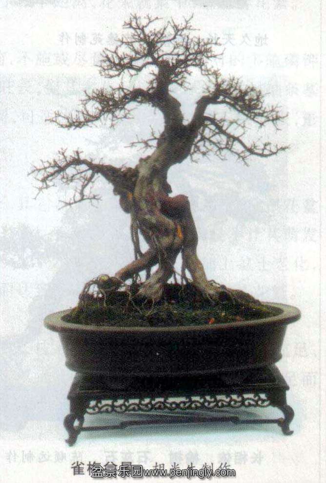 辰-ȸ÷.jpg