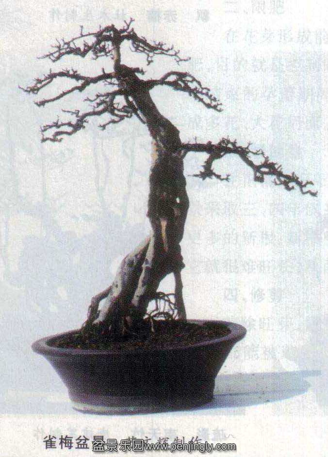 辰Ļ-ȸ÷.jpg