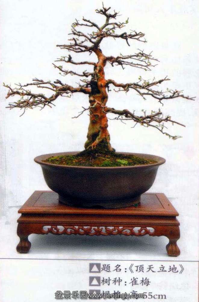 ̼ǿ-ȸ÷1.jpg