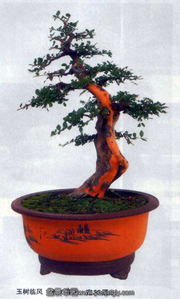 ̼ǿ-ȸ÷1-08-9 .jpg