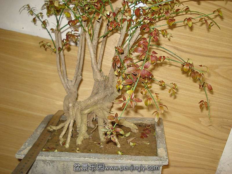 DSC06255_.jpg