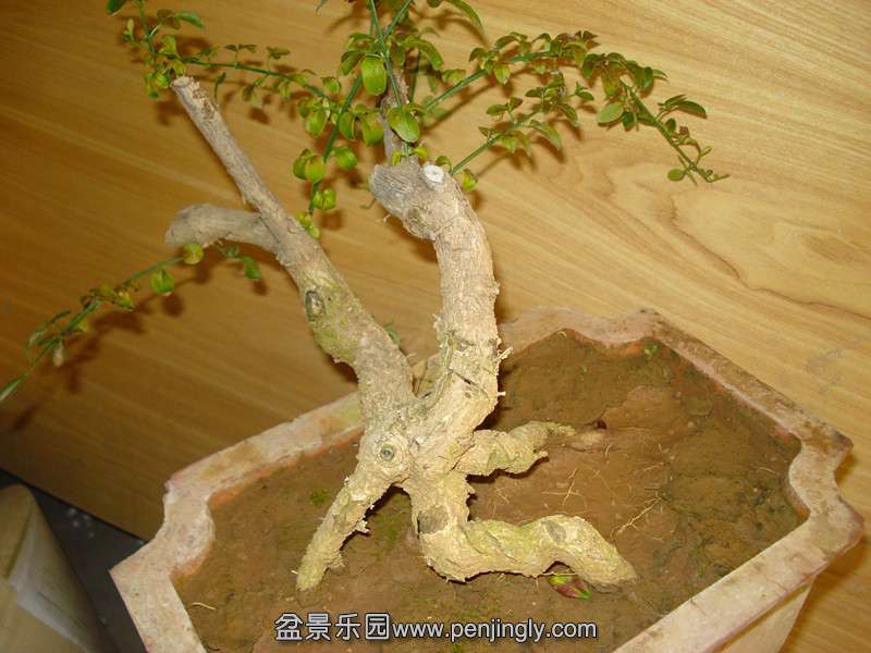 DSC06260_.jpg