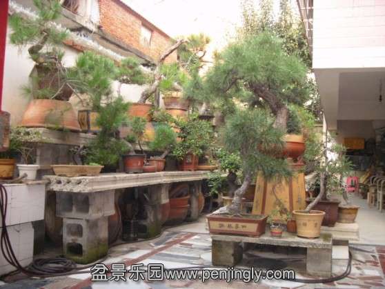 SDC13717.JPG