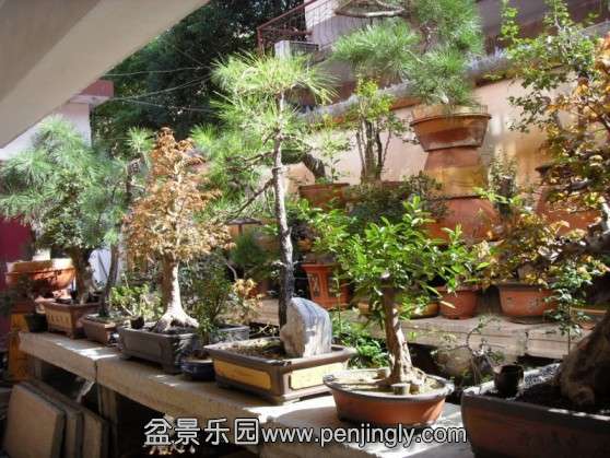 SDC13645.JPG