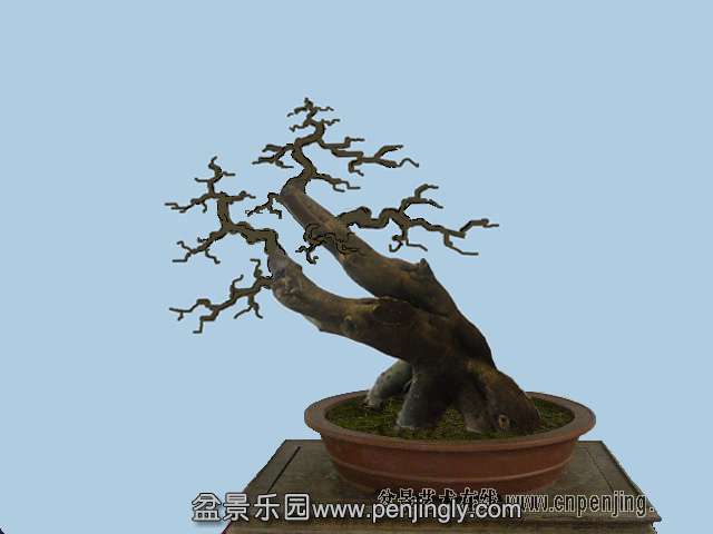 140119k7y96cll314qb41e_sort .jpg