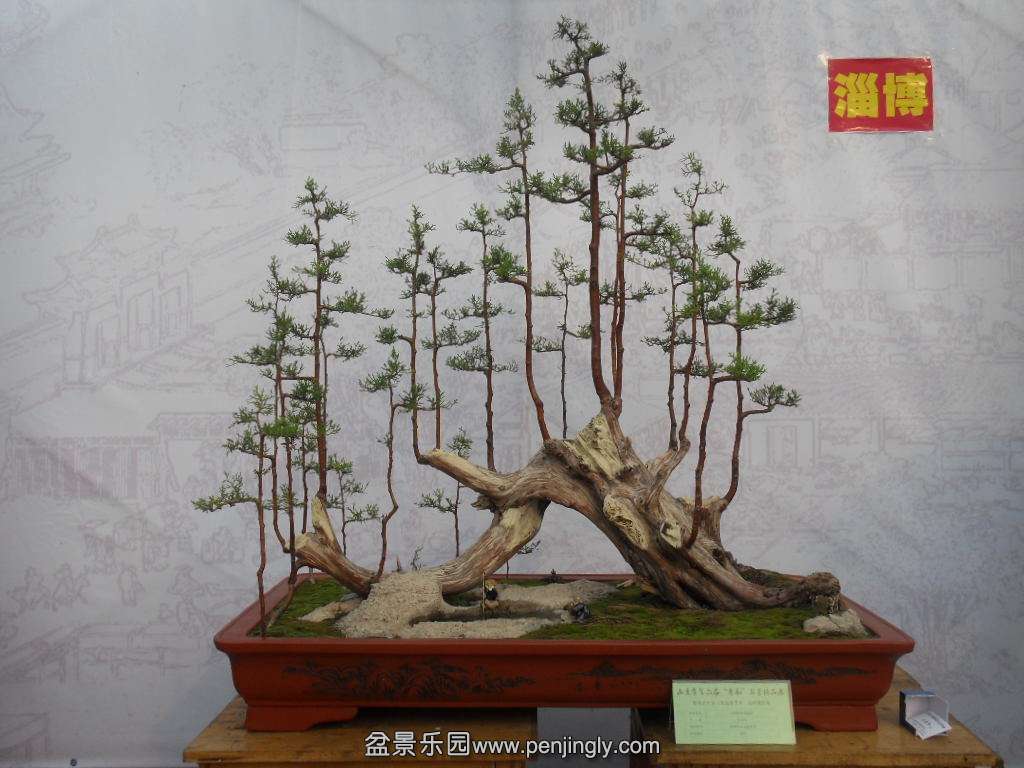 SDC17877.JPG