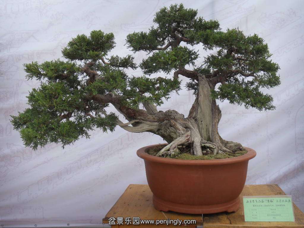  SDC17759.JPG