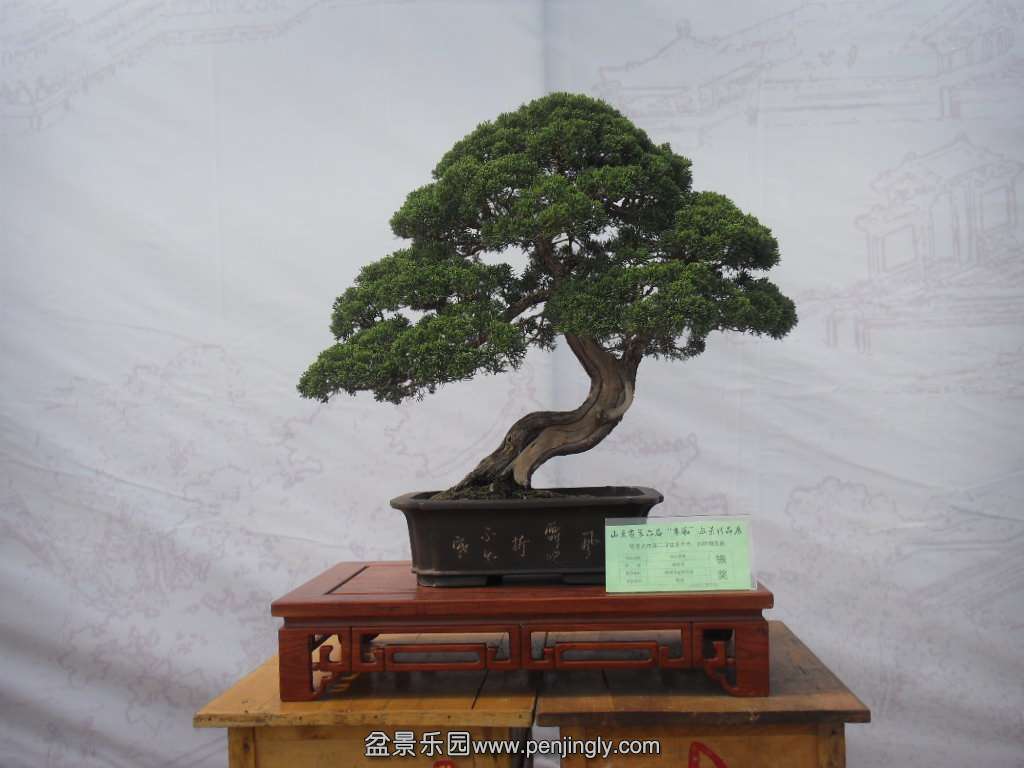  SDC17815.JPG