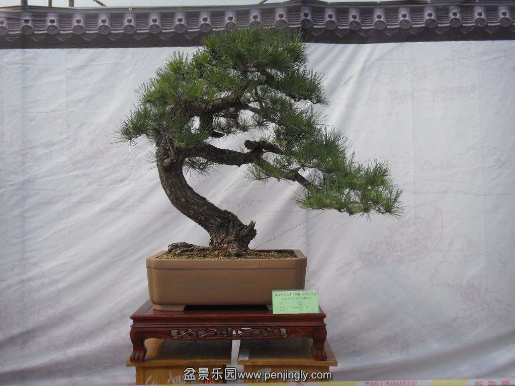 SDC17712.JPG