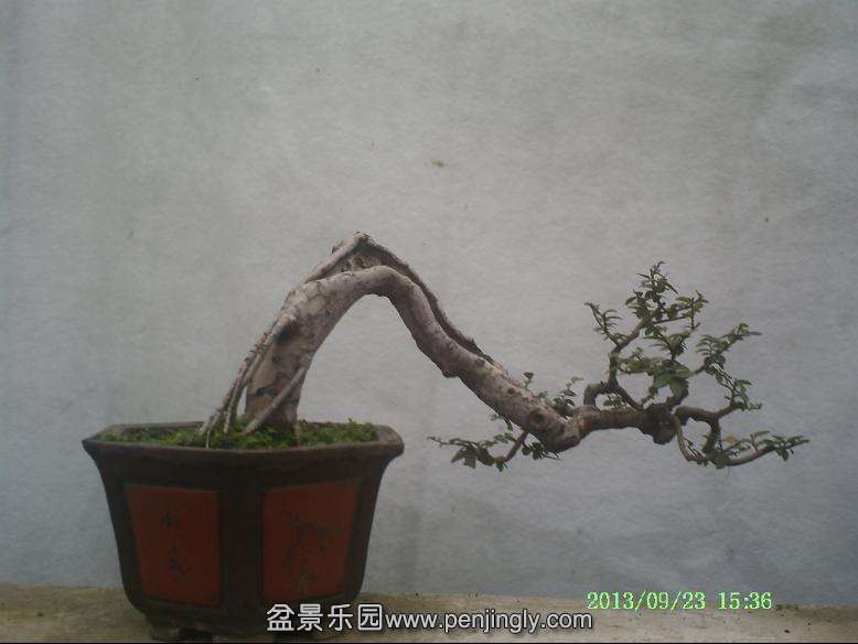 PICT0054.JPG