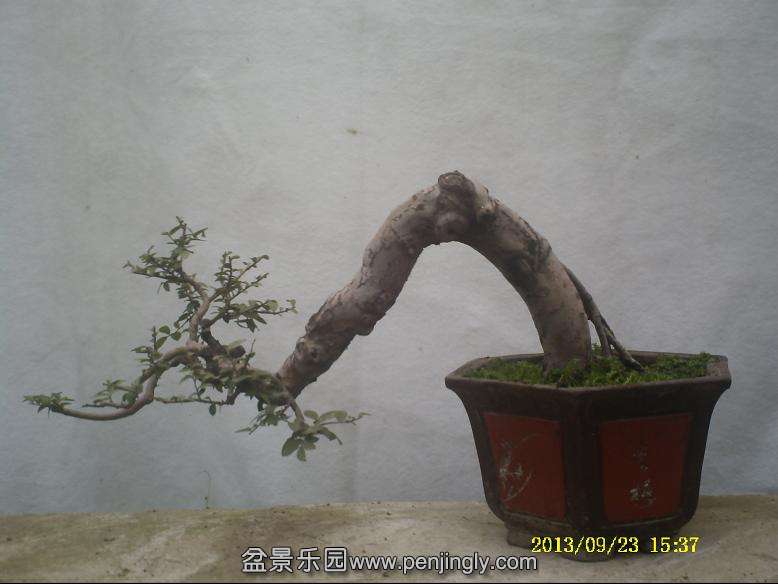 PICT0055.JPG