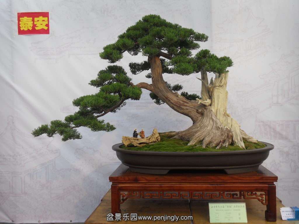 SDC17875.JPG