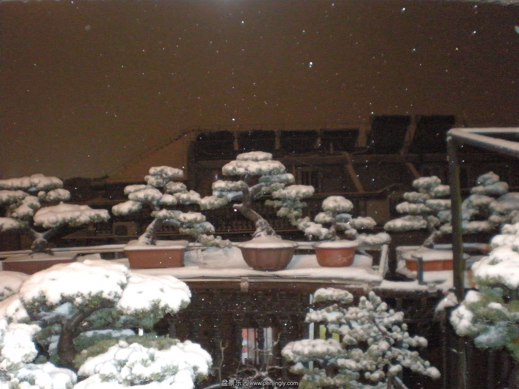 P1010003_.jpg