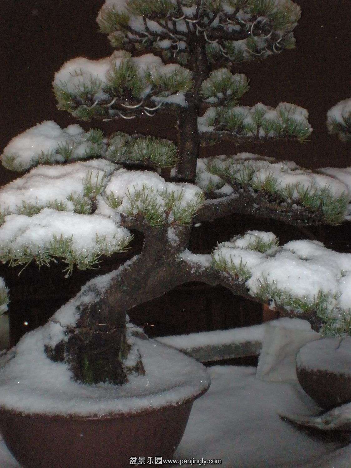P1010005__.jpg