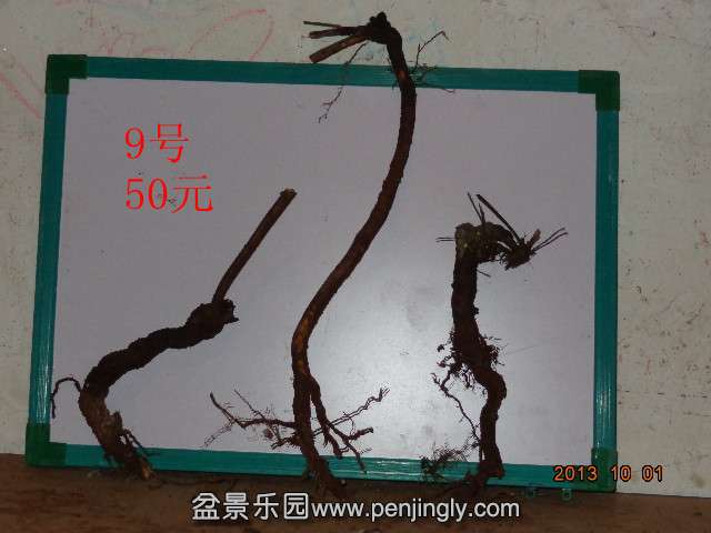 DSC00408_.jpg