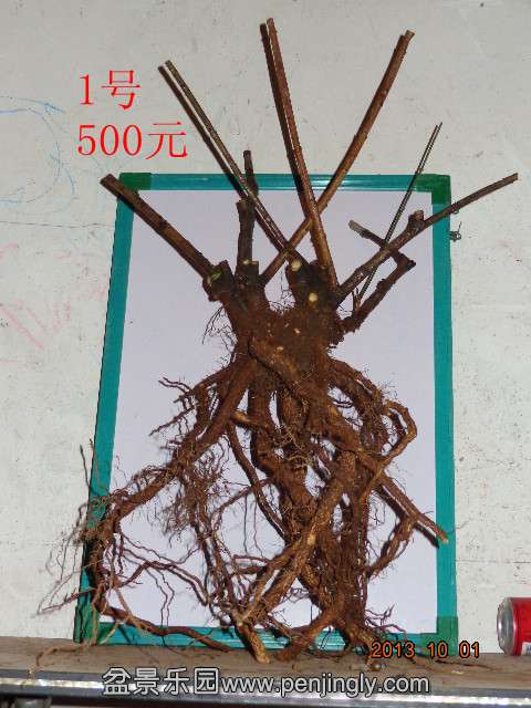 DSC00399_.jpg