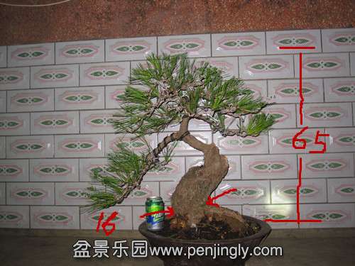 IMG_6047__.jpg