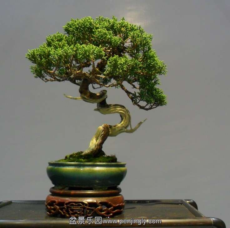 QQͼƬ20131002155220.jpg