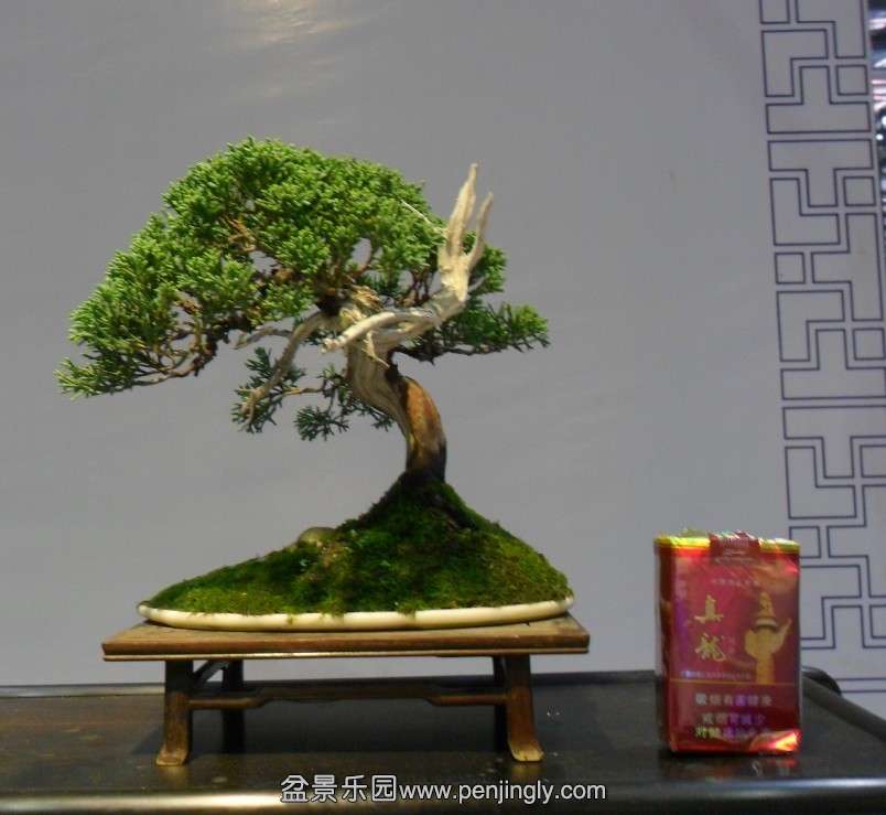 QQͼƬ20131002155259.jpg