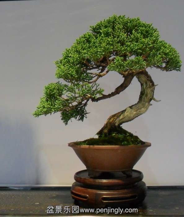 QQͼƬ20131002155320.jpg