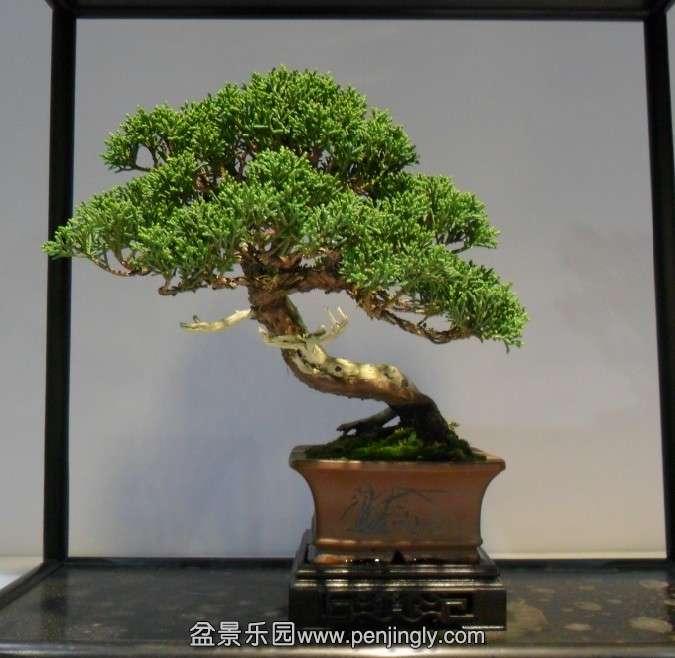 QQͼƬ20131002155342.jpg