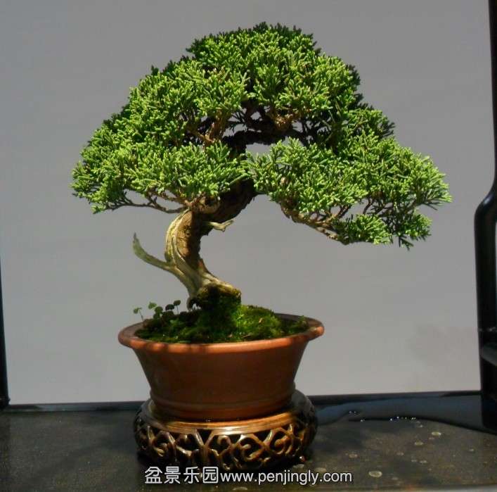 QQͼƬ20131002155402.jpg