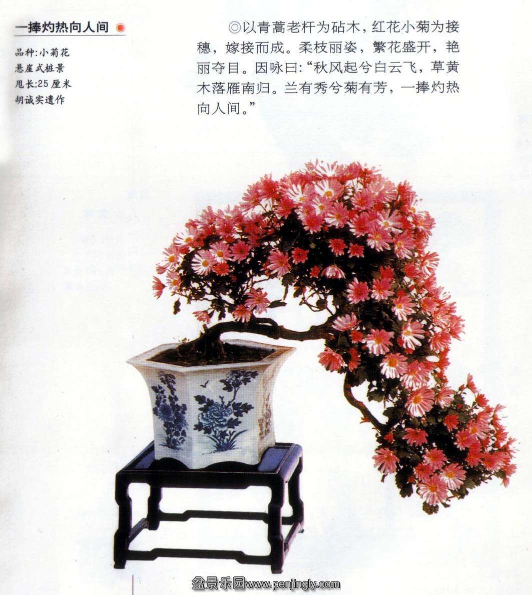 ʵһ˼䡷Сջ.jpg