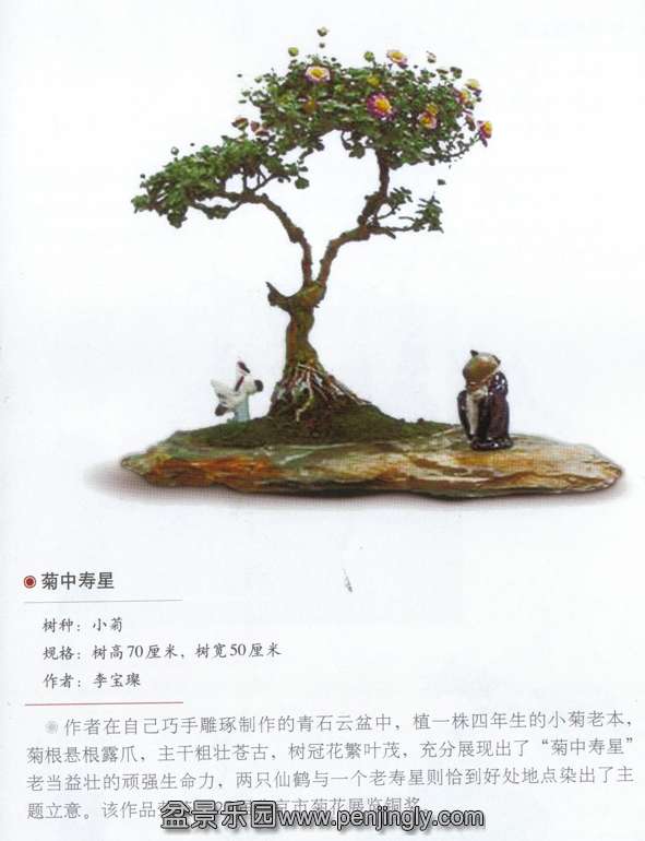 財ǡС.jpg