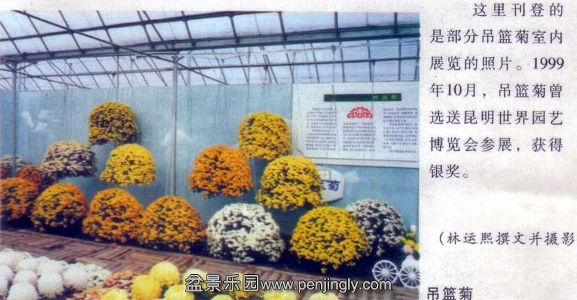 -ջ辰-01-10  5.jpg
