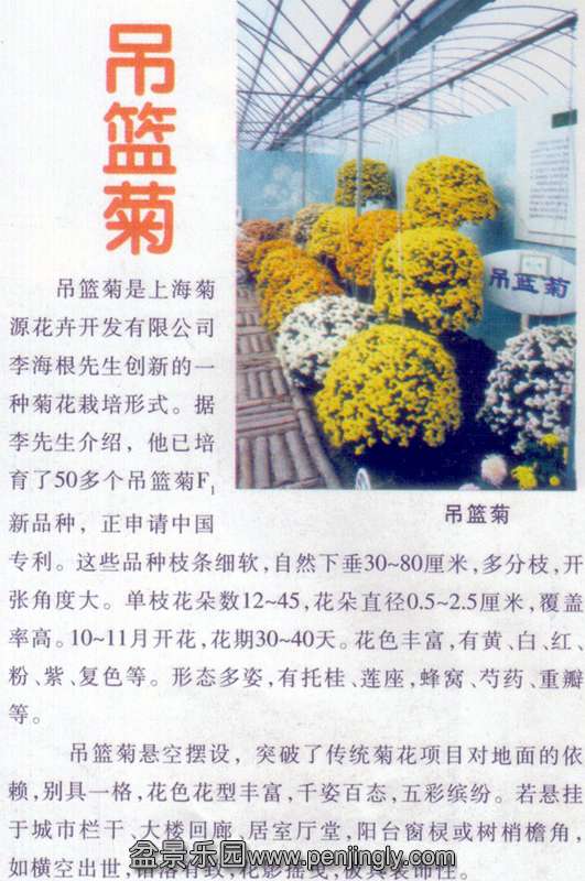 -ջ辰-01-10  6.jpg