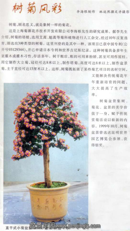 -ջ辰-01-10 .jpg