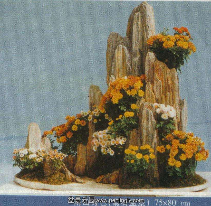 -ջ辰-02-12  4.jpg