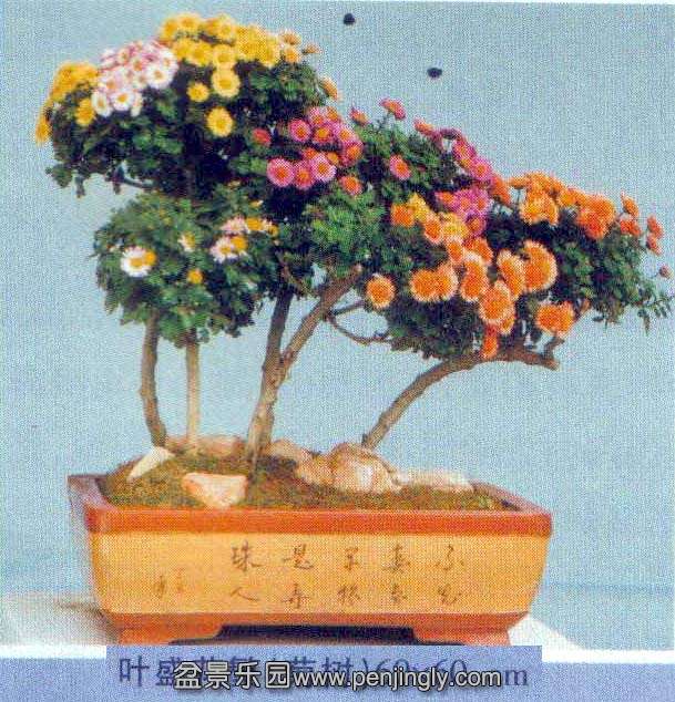 -ջ辰-02-12  5.jpg