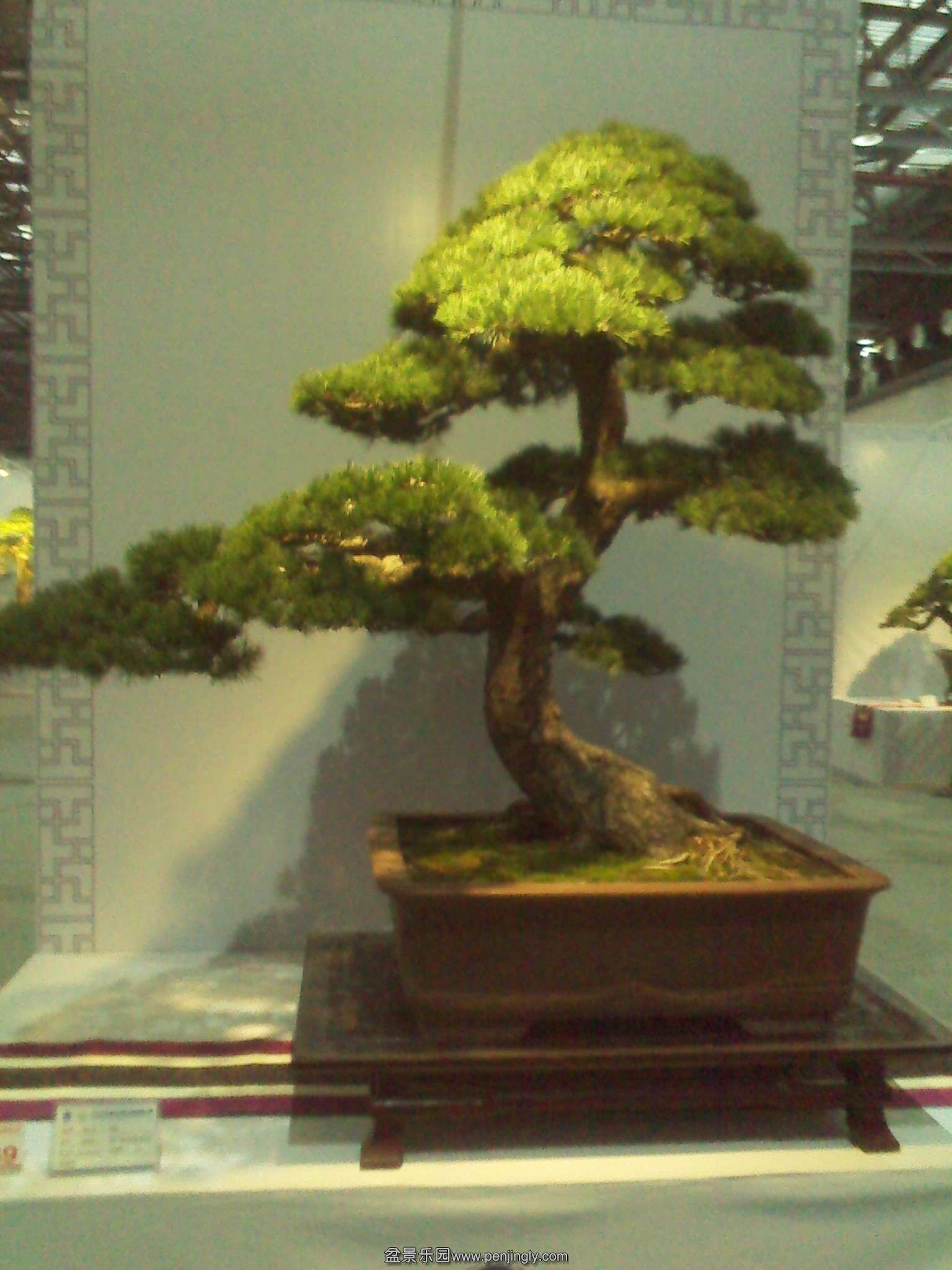 IMG_20131002_105119.jpg