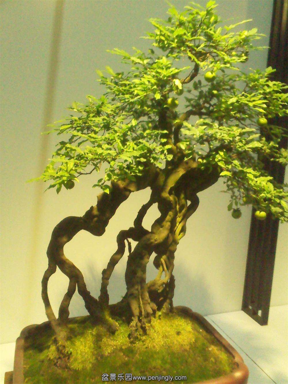 IMG_20131002_111959.jpg