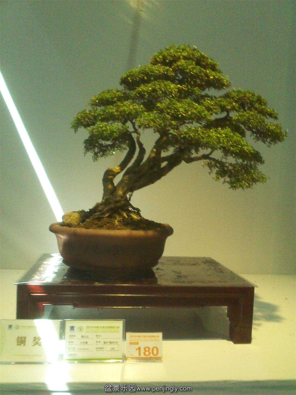 IMG_20131002_112138.jpg