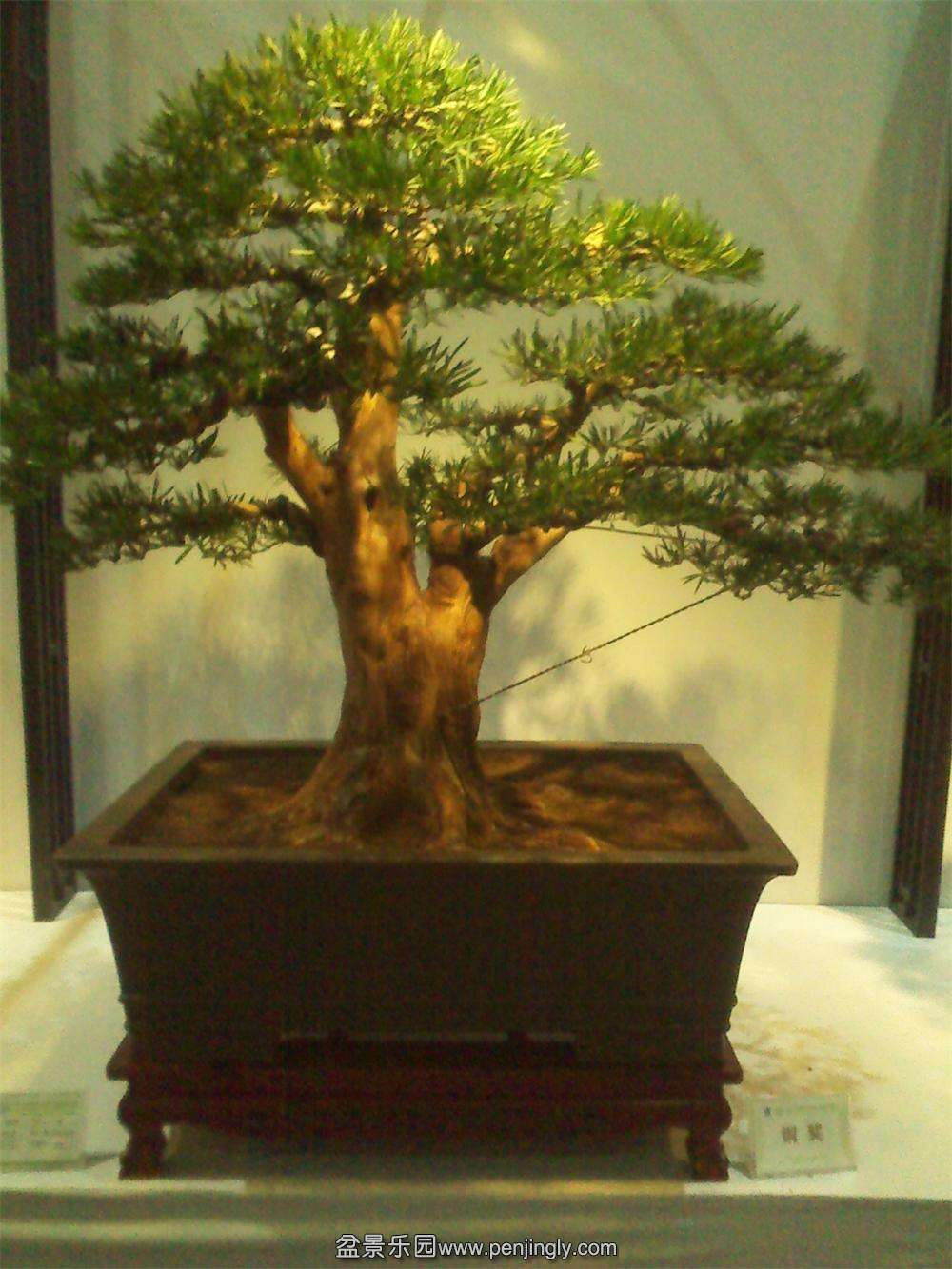 IMG_20131002_112234.jpg