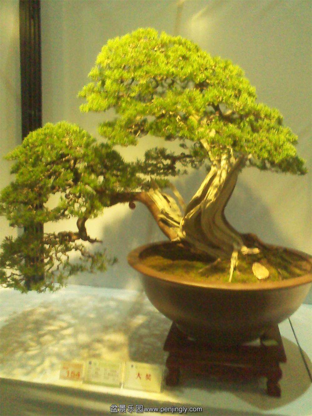 IMG_20131002_112307.jpg