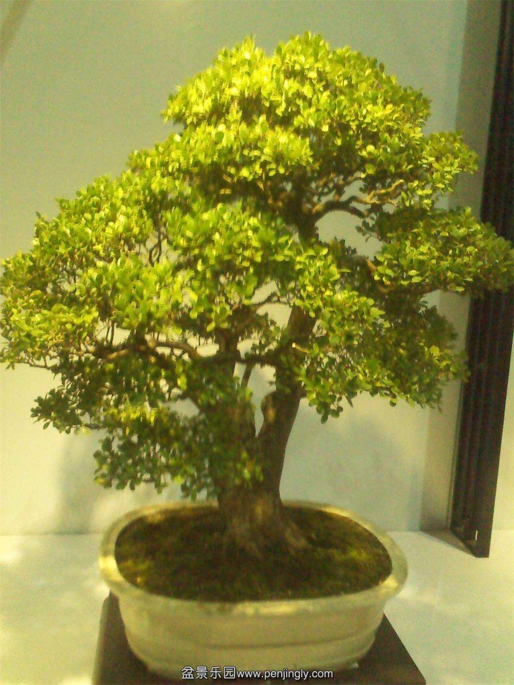 IMG_20131002_112335.jpg