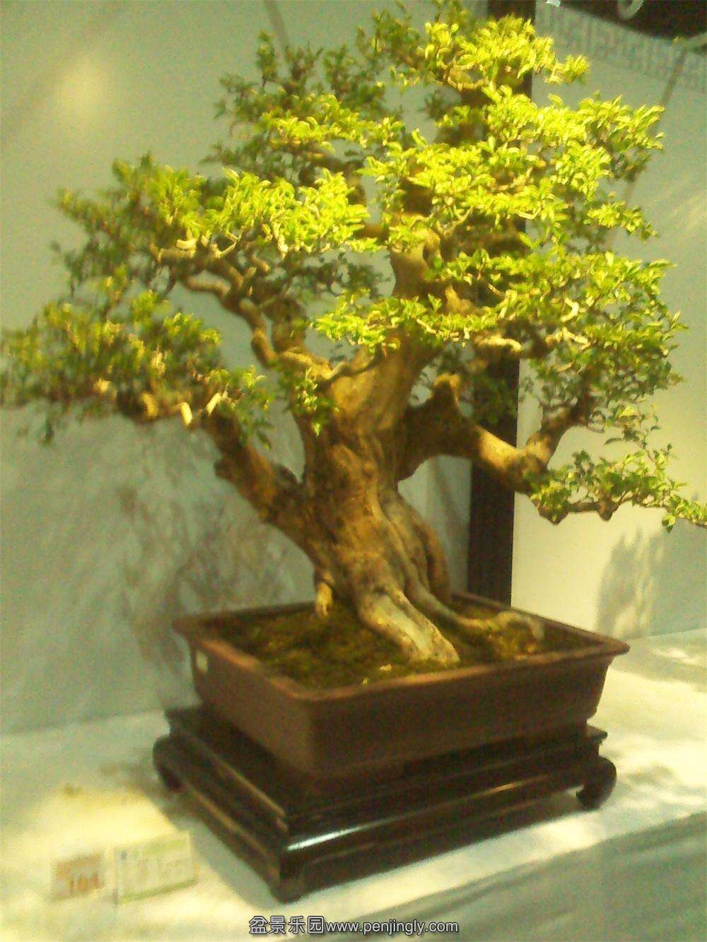 IMG_20131002_112409.jpg