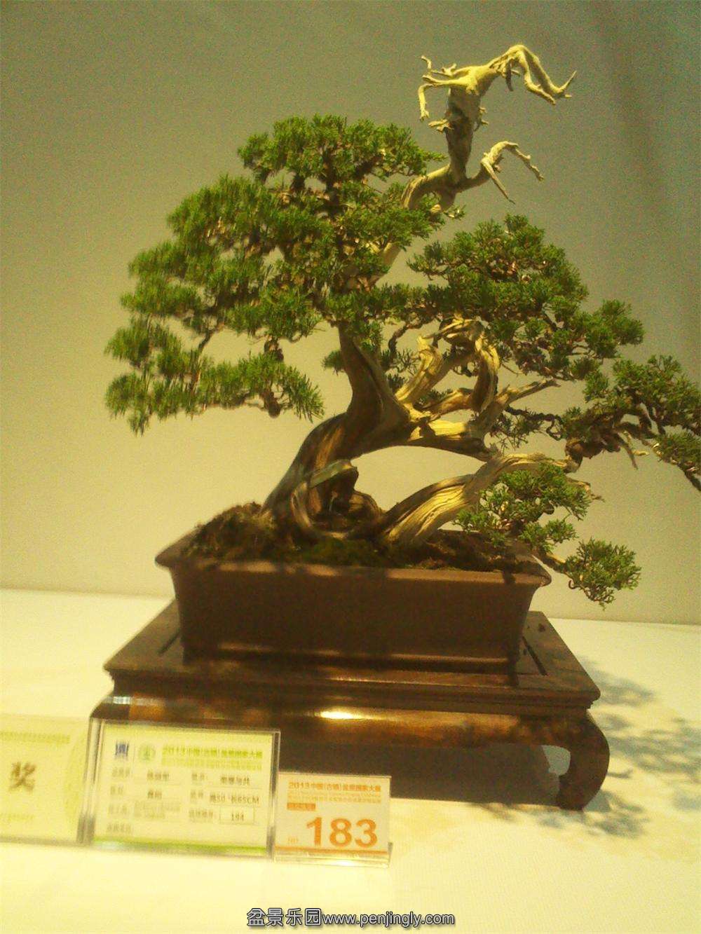 IMG_20131002_112036.jpg