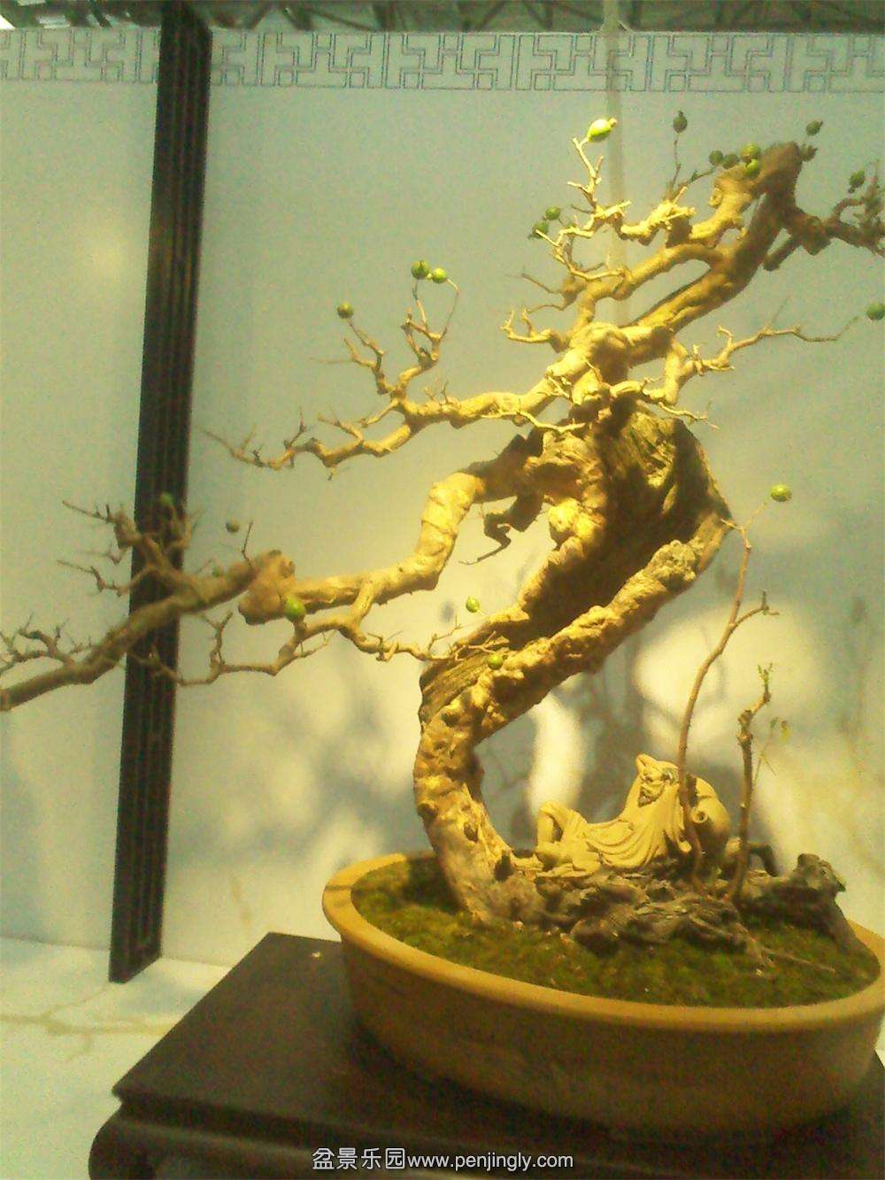 IMG_20131002_121017.jpg
