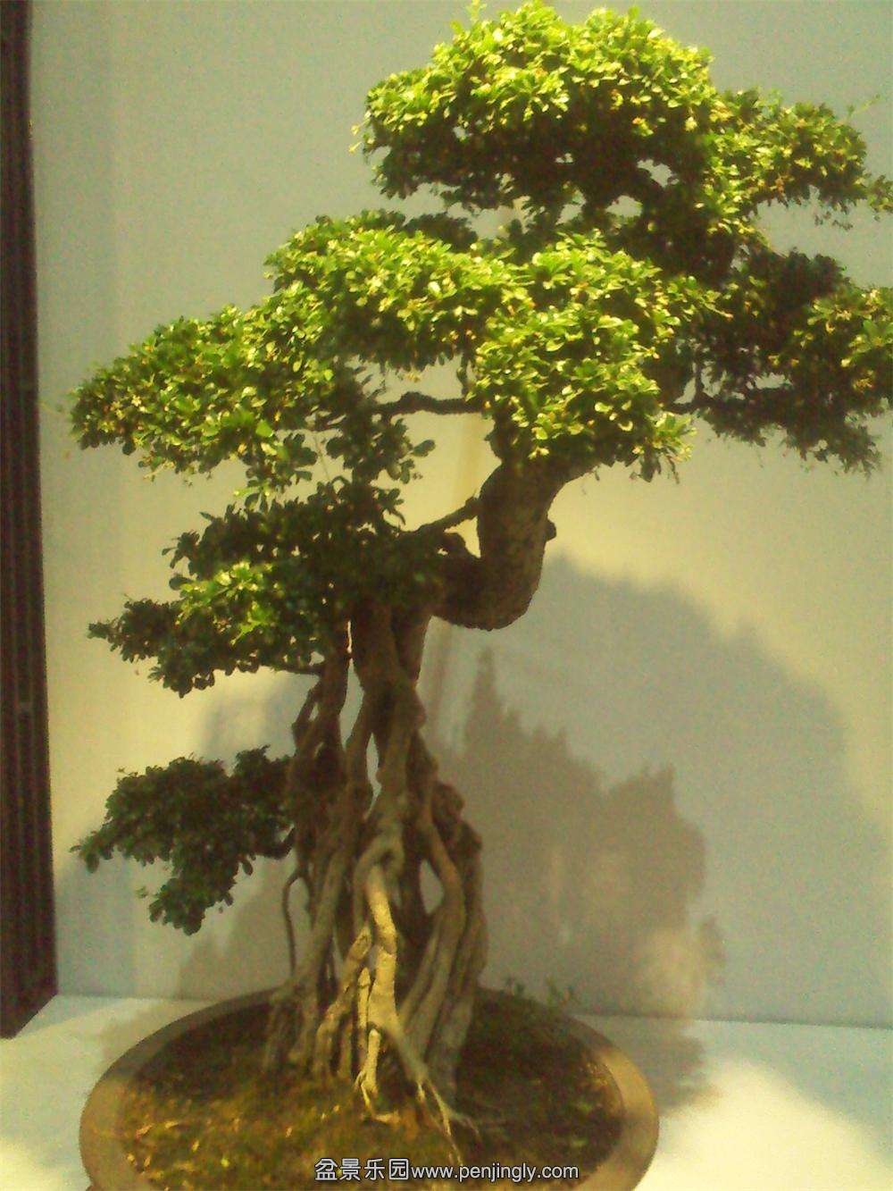 IMG_20131002_121047.jpg