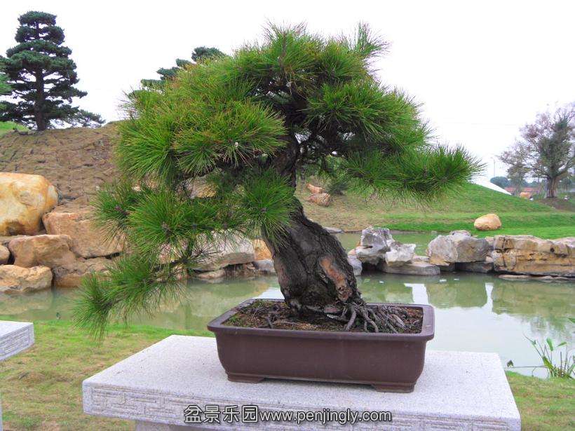 SDC12768.JPG