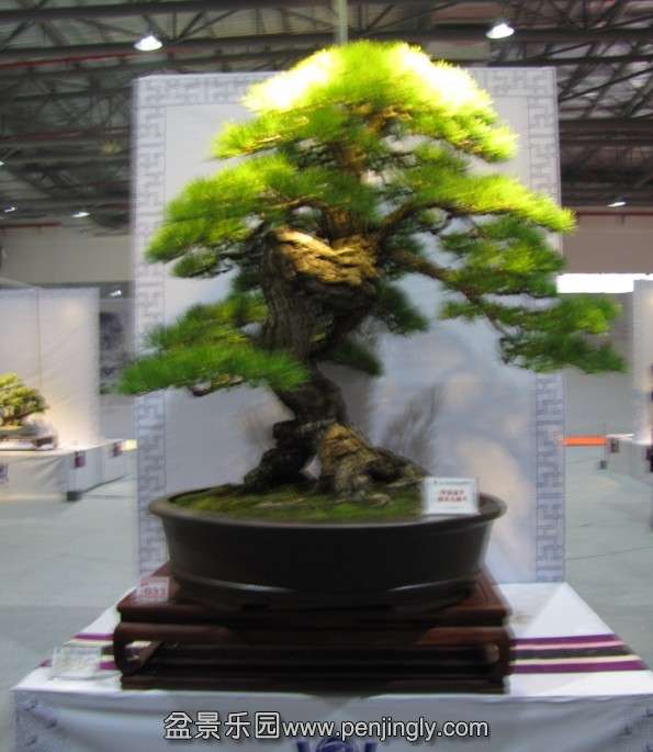 QQͼƬ20131003190121.jpg