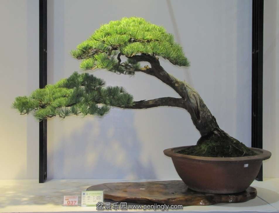 QQͼƬ20131003190238.jpg