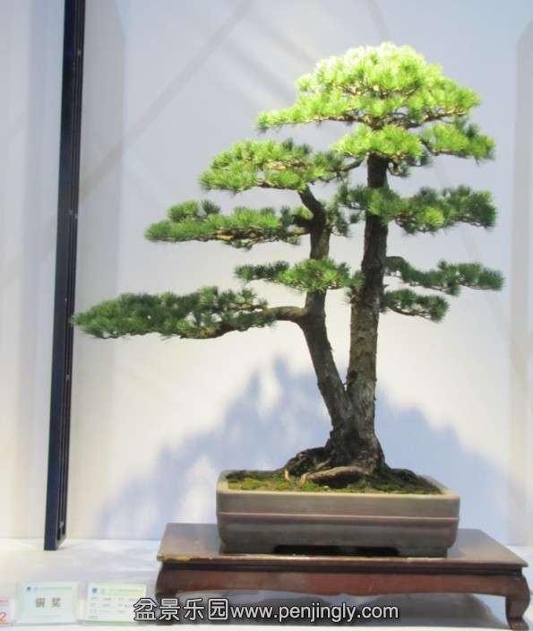 QQͼƬ20131003190301.jpg