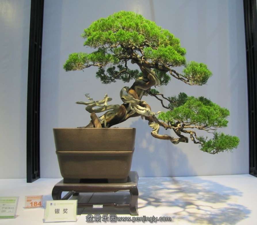 QQͼƬ20131003190429.jpg
