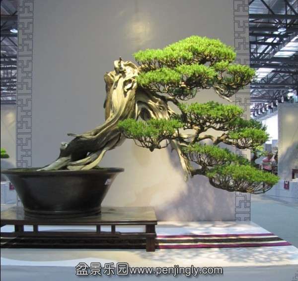 QQͼƬ20131003190514.jpg