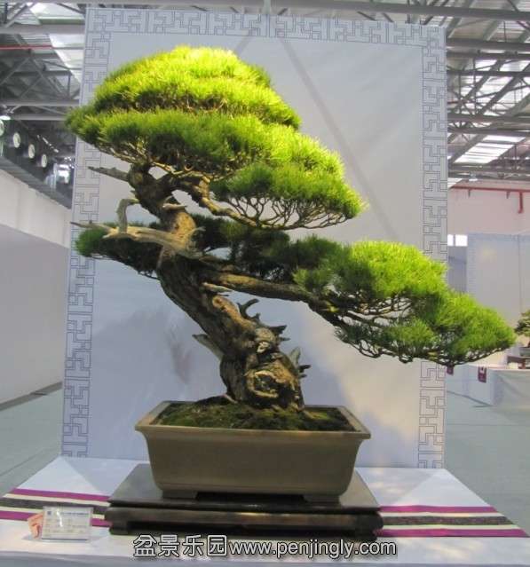 QQͼƬ20131003190558.jpg
